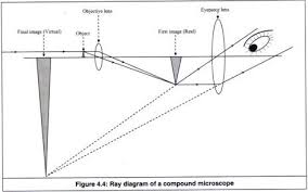 Working Principle And Parts Of A Compound Microscope With