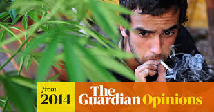 I found myself drinking quite a bit and gaining some weight after quitting. Cannabis Really Can Trigger Paranoia Daniel Freeman And Jason Freeman The Guardian