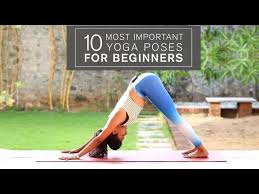 important yoga poses for beginners