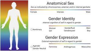 Sexual orientation, gender identity, and gender expression: From current  state to solutions for the support of lesbian, gay, bisexual, transgender,  and queer/questioning patients and colleagues - ScienceDirect