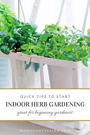 How To Start An Indoor Herb Garden