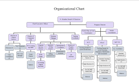 Organizational Structure Alaskaniris