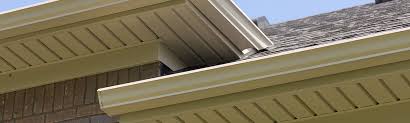 They are able to withstand high winds and are usually now most homeowners opt for vinyl fascia and replace existing soffit with vinyl soffit as well. Fascia Board Germantown Il Vinyl Soffit Soffit Board