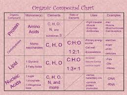 Biochemistry The Study Of Elements And Compounds In