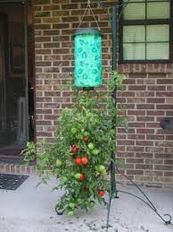diy topsy turvy tomato planter
