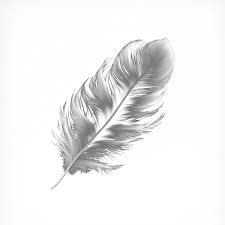a pristine white feather that appears