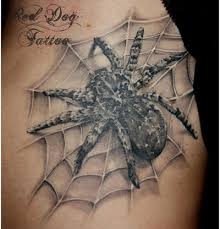 Its not the same spider lmao i chuck that little dude out the window asap when i see it. Best Spider Tattoo Designs Our Top 10