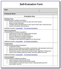 With this, they demonstrate their expertise and contribution towards meeting the organization's goals and objectives. Examples Of Class Evaluation Forms Vincegray2014