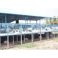 Layout For Ideal Commercial Goat Farm