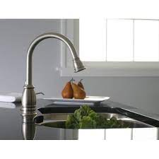 premier sonoma kitchen faucet with pull