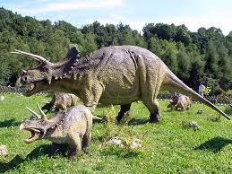 Image result for triceratops
