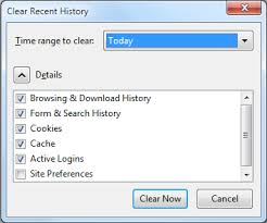 Or you can always view your browsing history in the history sidebar. A Guide To Clearing Your Browser History In Windows Operating Systems Dell Us