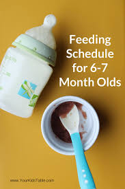 feeding schedule