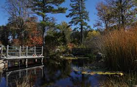 9 Beautiful Botanical Gardens In Maine