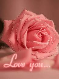 pink rose love you gif gifdb com