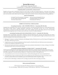 CEO Resume Example   Melbourne Resumes