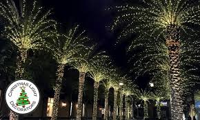 Maybe you would like to learn more about one of these? Palm Trees Wrapped With Christmas Lights On Fronds