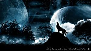 howling wolf 3d hd nature wallpapers