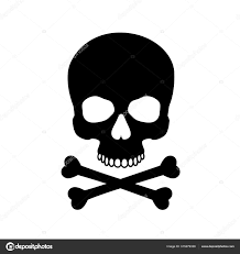 human skull isolated on black color