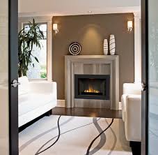 Gas Fireplace Insert Contemporary