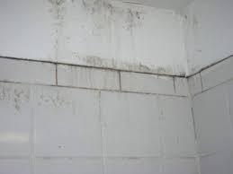 Remove Mold On Bathroom Walls