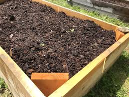how to prepare raised bed gardens for