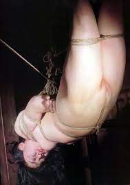 緊縛され逆さ吊りにされた女たち - 裸裸と縛縛