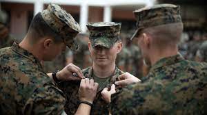 enlisted marines