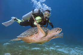 scuba diving in thailand detailed