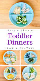 dinner toddler food ideas twin mom