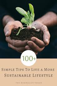 tips to live a more sustainable lifestyle