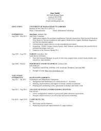 Information Technology Resume Examples  It Resume Sample     