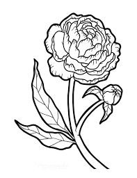 Free printable peony coloring pages. 112 Beautiful Flower Coloring Pages Free Printables For Kids Adults