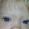 An epicanthal fold is a skin fold of the upper eyelid covering the inner corner of the eye. Https Encrypted Tbn0 Gstatic Com Images Q Tbn And9gcrqf324kncxazqcokb5x1j Euggguhovsoggrb Uiaogul Axotxncmq663ywcemmov Usqp Cau Ec 45781605