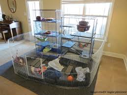 Ferret Care Suitable Ferret Cages To