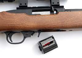 the ruger 10 22 rb rimfire just why