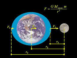 Las mejores 10 ideas de La fuerza gravitacional | fuerza gravitacional,  fuerza, leyes de newton