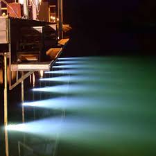 Led Sea Vue Dock Light All Your Underwater Light Needs