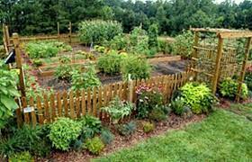 10 Garden Fence Ideas That Truly