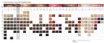 Essensity Color Chart Sbiroregon Org