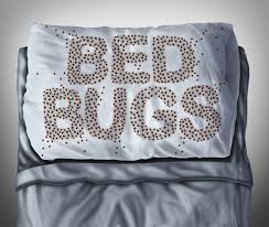 bed bugs healthguard