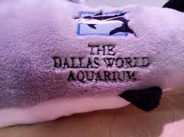 dallas world aquarium great white shark