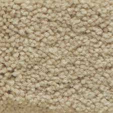 americana foam by masland carpets
