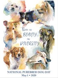Now if you are looking for reasons to celebrate national dog day, you have more reasons to rejoice than usual. National Purebred Dog Day Official Poster For 2020 National Purebred Dog Day