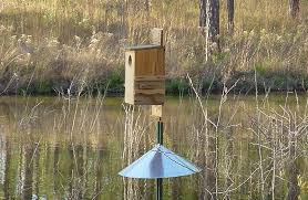 Wood Duck Nest Box State Of Tennessee
