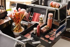 case of professional makeup artist with