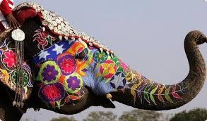 Image result for indian elephants