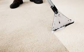 is professional carpet cleaning worth
