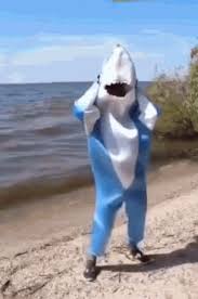funny shark gifs tenor