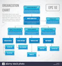 Organizational Chart Infographic Business Structure Concept